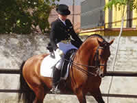 Patricia Sanchez Dressage Rider